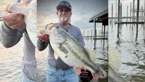 15.24-Pound Bass Caught And Released On Louisiana’s Cross Lake