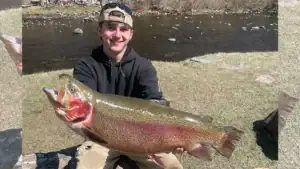 Massive Rainbow Trout Shatters 28-Year-Old Connecticut Record