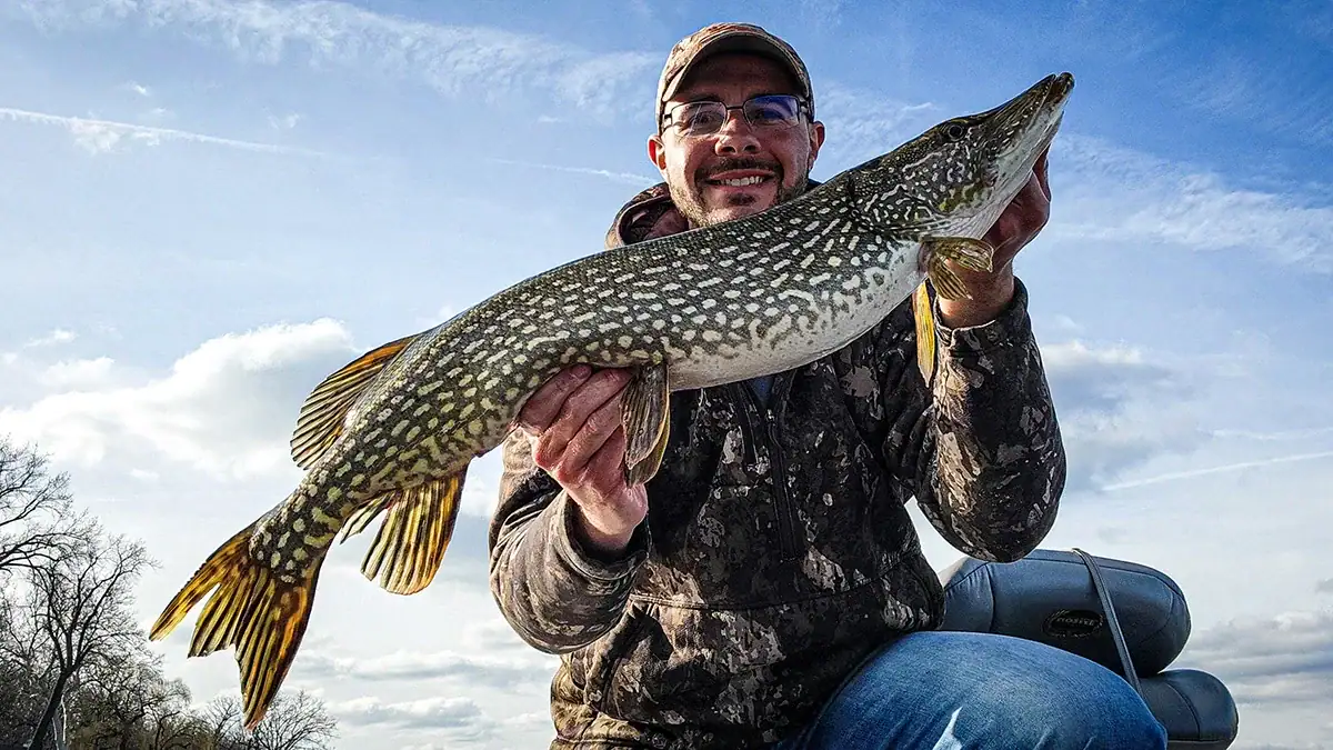 A man holds an early-season Northern Pike.