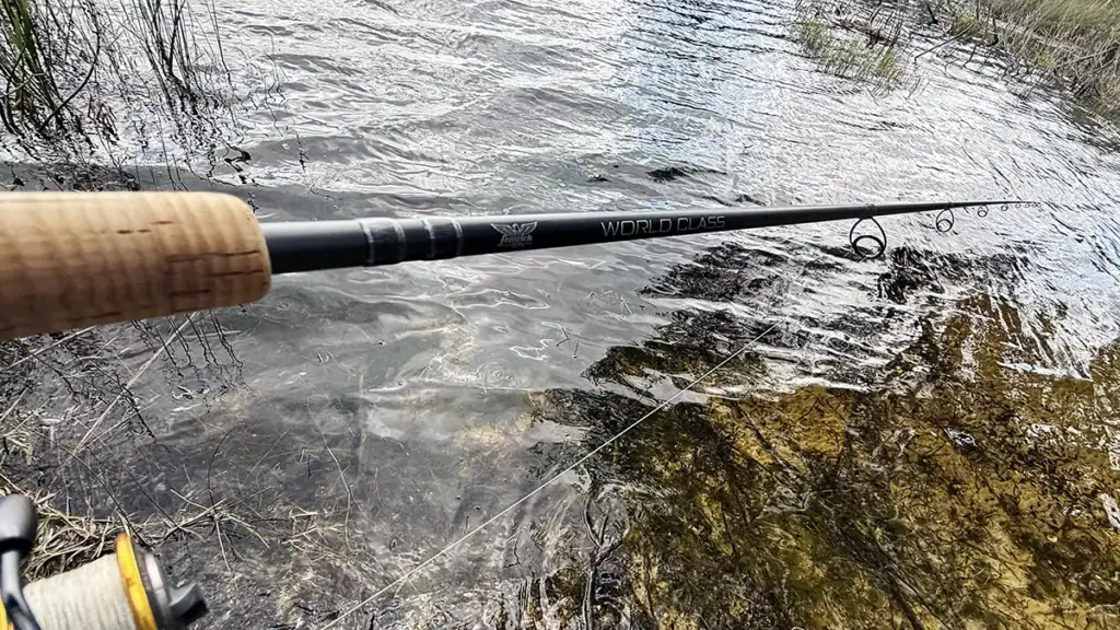 Fenwick World Class spinning rod