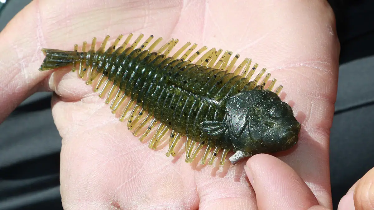 A nail weight fits inside the pre-molded hole in the Geelacanth lure's chin to maintain an upright posture.