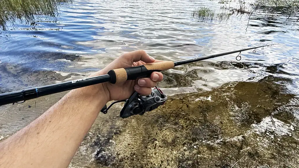 Lews LFS Spinning Rod