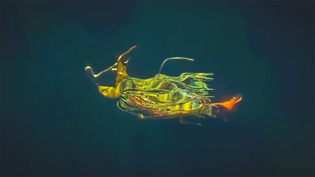 Pulse Fishing Side Piece swimming in the water