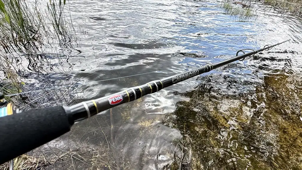 PENN Carnage III spinning rod