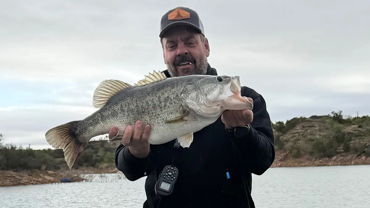Russell Hessen looks at his 9.3-pound bigmouth, a personal best he caught recently at Lake Alan Henry in Texas.