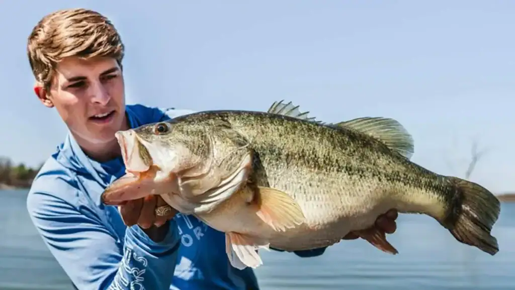 Tyler Anderson big bass