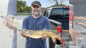 West Virginia Angler Breaks Pickerel Record He Set In 2019