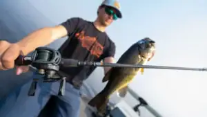 Bass caught on baitcaster reel