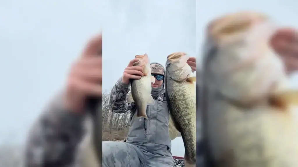 Devon Dvorak and two bass