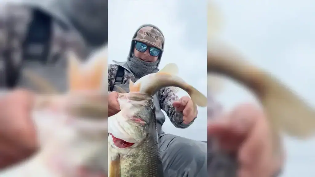 Devon Dvorak and bass eating bass
