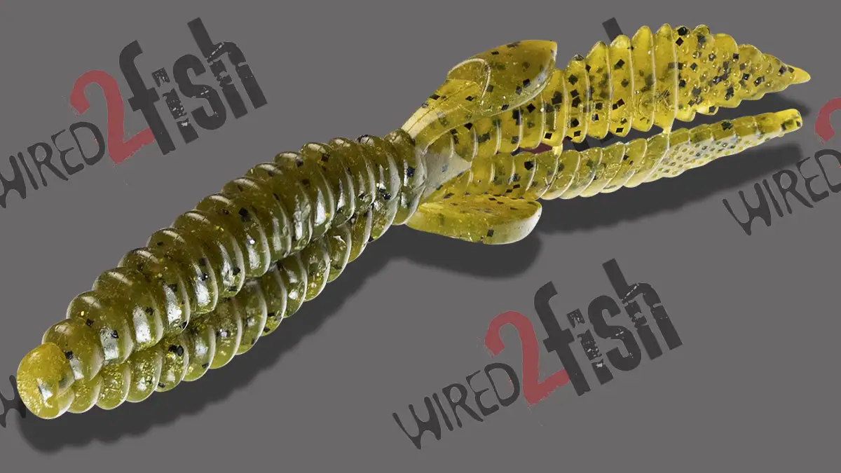 Lunkerhunt BLACK Series: The Slapjak Beaver.