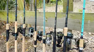 Top spinning rods for fishing in 2026