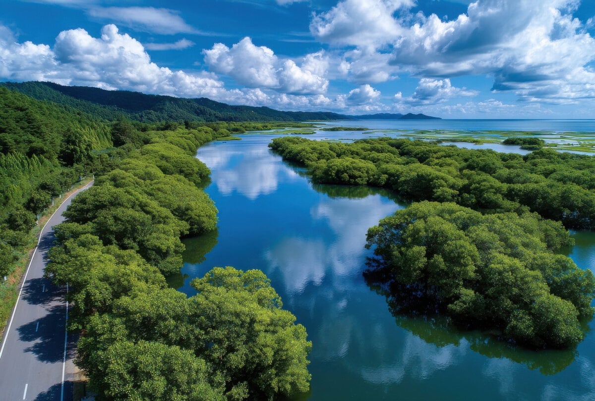 Clean waterways for Earth Day.