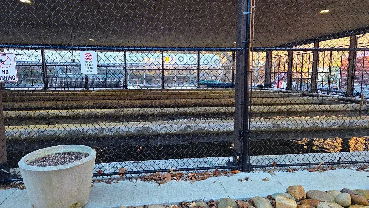 Gatlinburg has its own municipal trout facility where they raise rainbow trout.