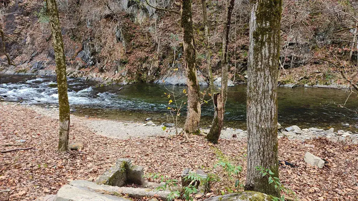 Gatlinburg offers plenty of scenic fishing spots throughout the city.