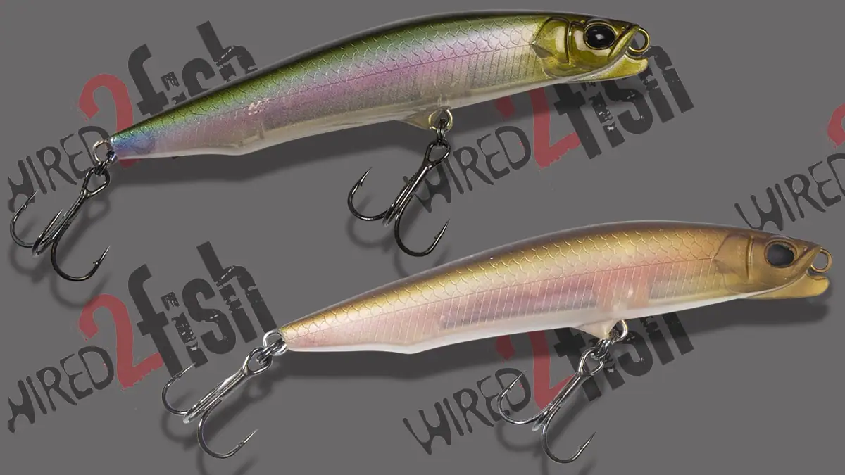 Lunkerhunt BLACK Series: The B.L.B FFS Minnows.