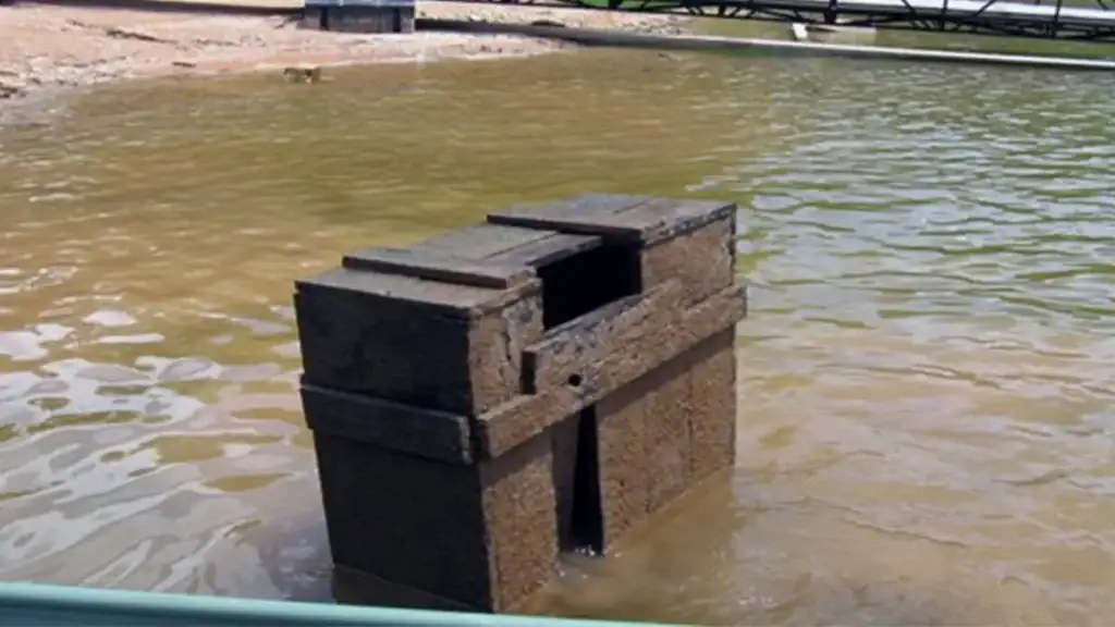 possible catfish spawning box