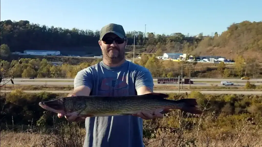 previous West Virginia record pickerel
