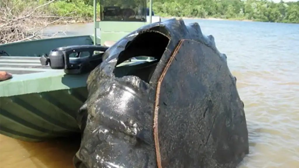 Illegal Catfish Noodling Boxes Discovered In Popular Lake - Wired2Fish