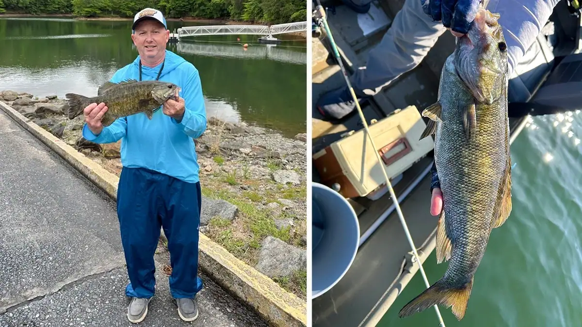 The fifth (right) and sixth (left) non-native bass resembling a smallmouth caught in Georgia’s Lake Allatoona.