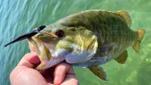 What Lures Ben Nowak is Throwing (and Catching Fish With) in June 2026.