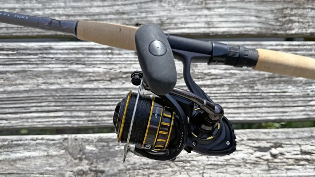 Daiwa BG spinning reel