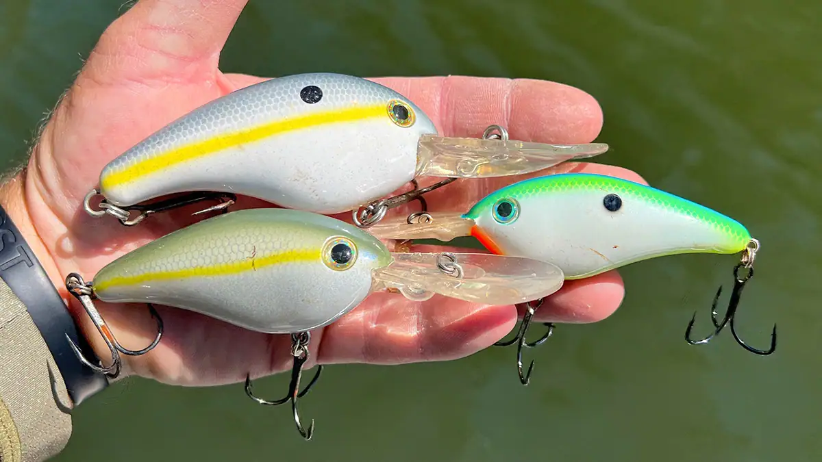 What Lures We're Throwing in June 2026: Deep-Diving Crankbaits.