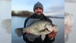 Virginia Angler Ties IGFA Black Crappie World Record