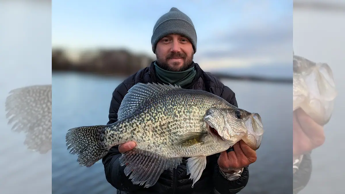 Derek Merricks and the 17.32-inch catch that tied IGFA's all-tackle length record for black crappie.
