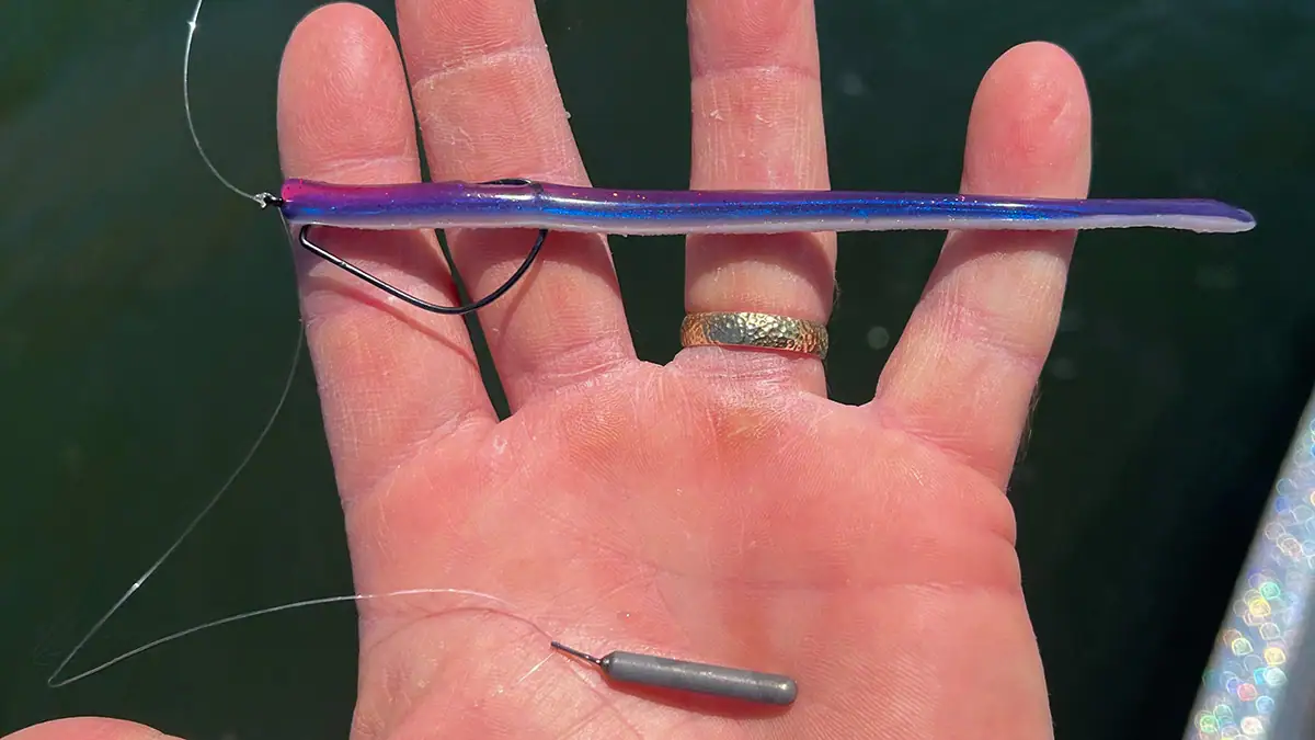 What Lures We're Throwing in June 2026: The drop shot.