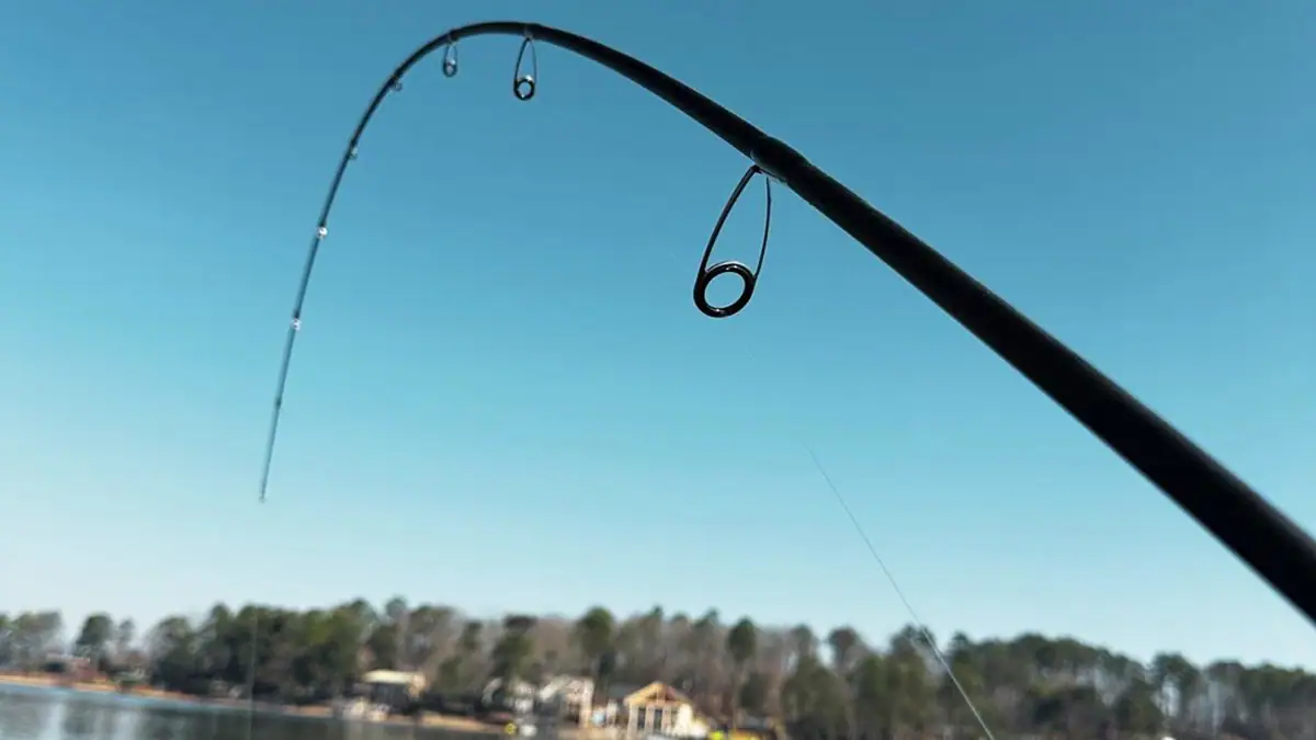 The impressive bend in FishUSA's Flagship Elite Spinning Rod.