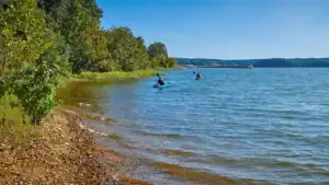 Everything You Need To Know About Fishing Kentucky Lake
