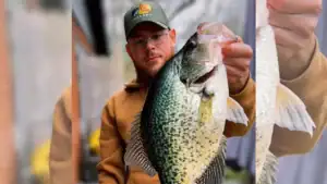 Hybrid Crappie Sets New Ohio Record