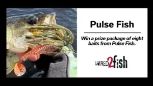 Pulse Fish eight-bait prize package giveaway.