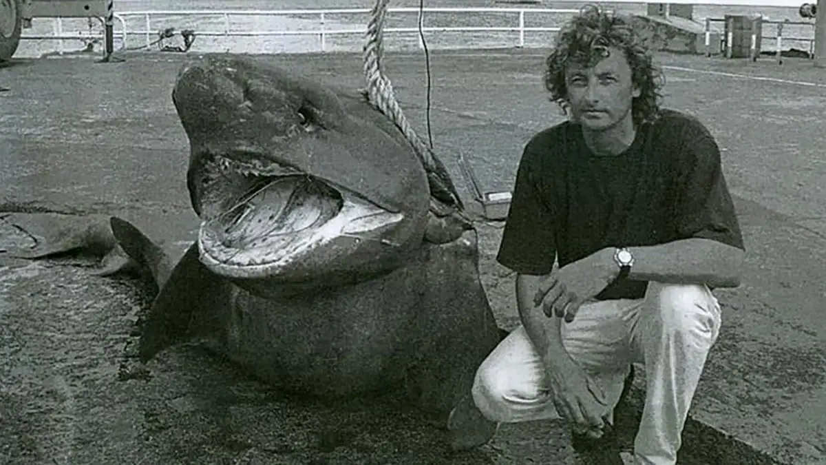 The world-record sixgilled shark.