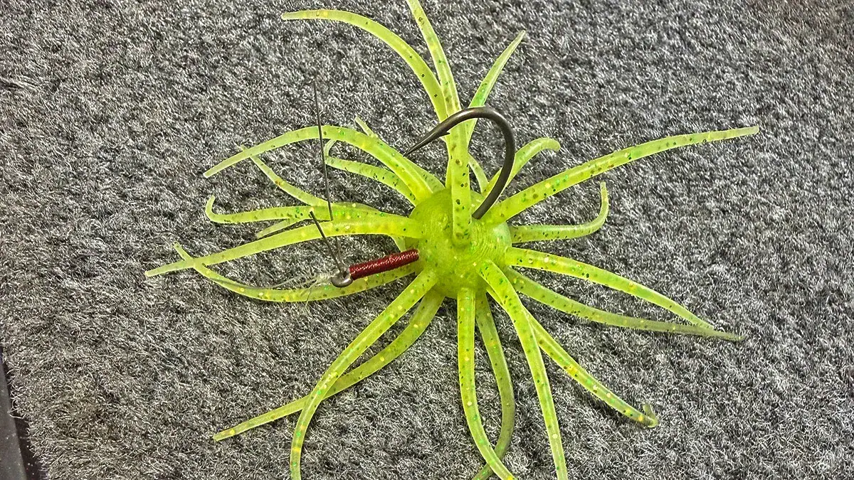 An urchin-style bait on the deck of a boat.