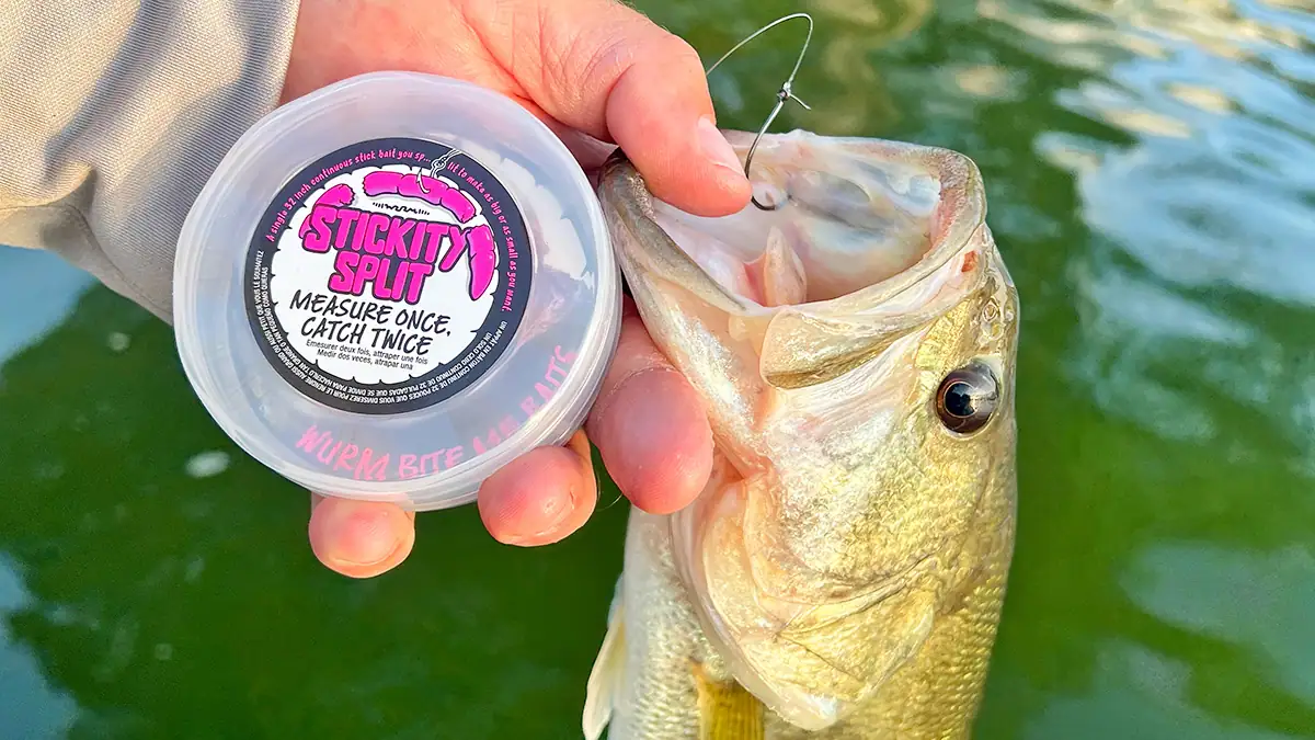 A bass shown with the WURM Stickity Split lure's container.