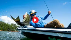 Two Summer Bass Fishing Lures That Produce