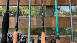 Saltwater rods lined up along a dock