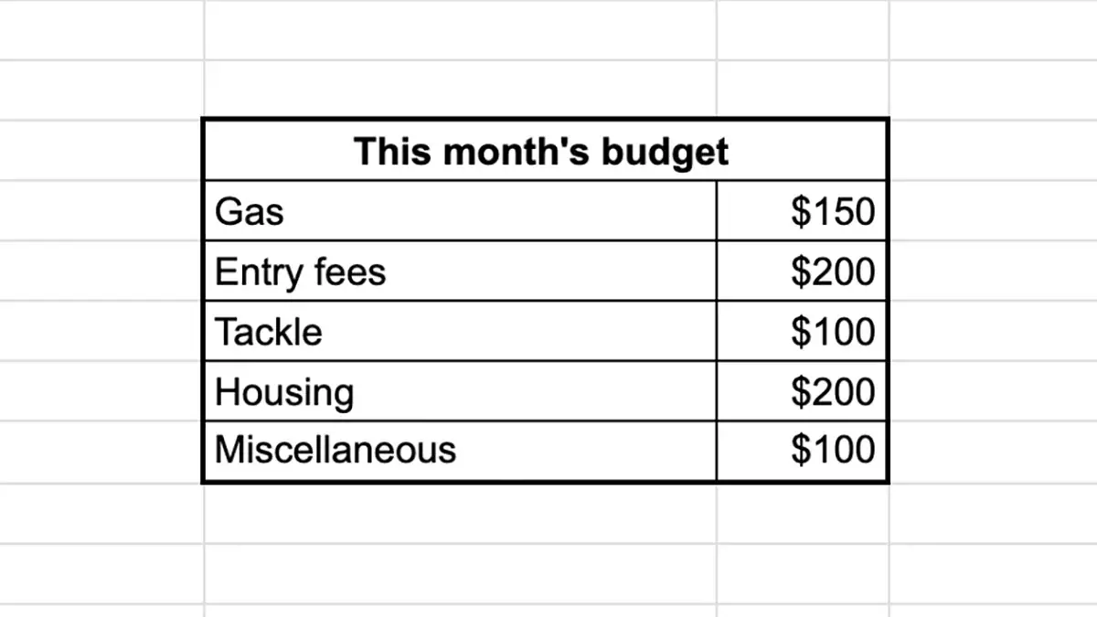 An example of allocating funds across the categories of a monthly fishing budget.