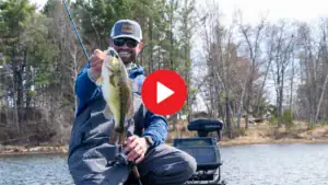 ChatterBait Tricks for Shallow Water Bass