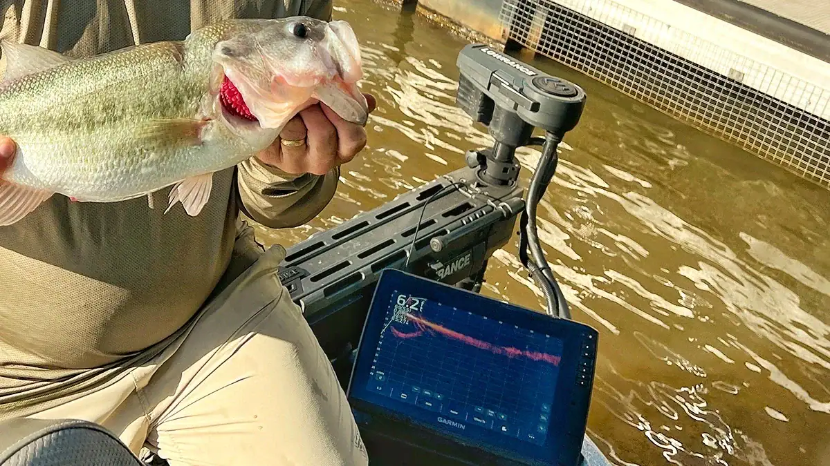 Using forward-facing sonar can help you find fish around docks.