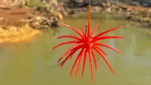 Fuzzy Baits 101