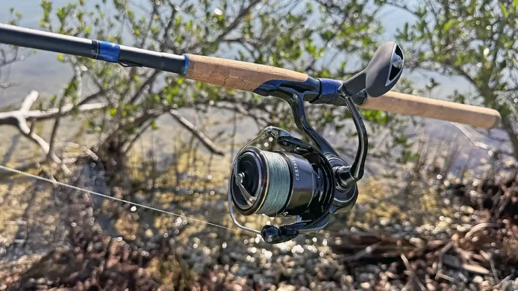 Daiwa Certate HD spinning reel