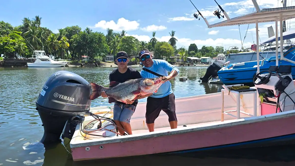 A possible IGFA record snook officially weighing 72.6 pounds was recently caught in Costa Rica.