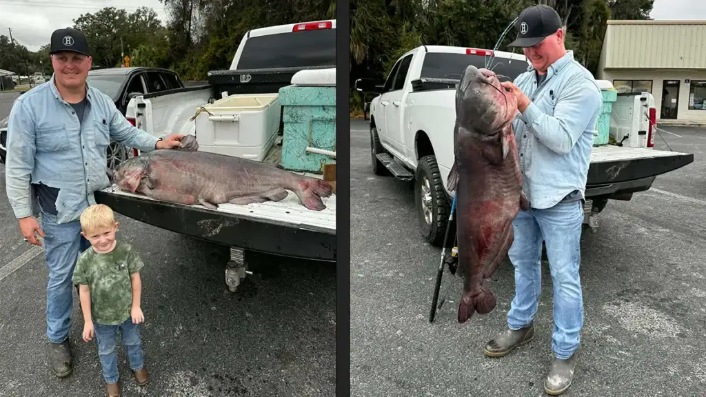 record blue catfish