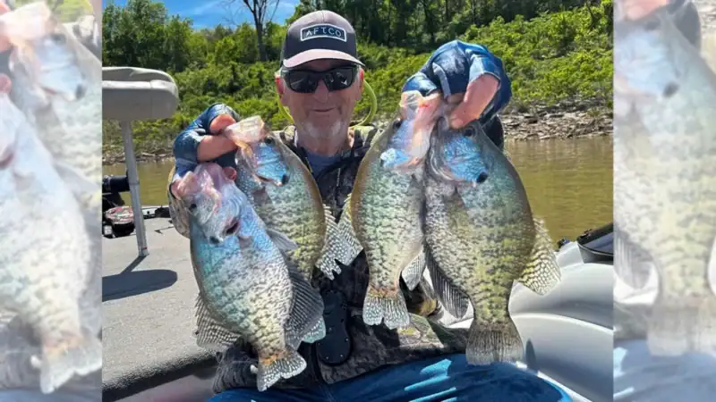 Rick Dykstra knows that May can produce big crappies on Kansas reservoirs such as Tuttle Creek, located in Manhattan.