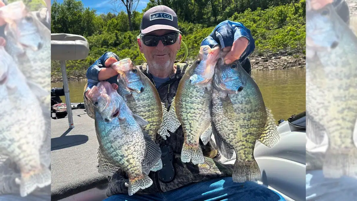 Rick Dykstra knows that May can produce big crappies on Kansas reservoirs such as Tuttle Creek, located in Manhattan.