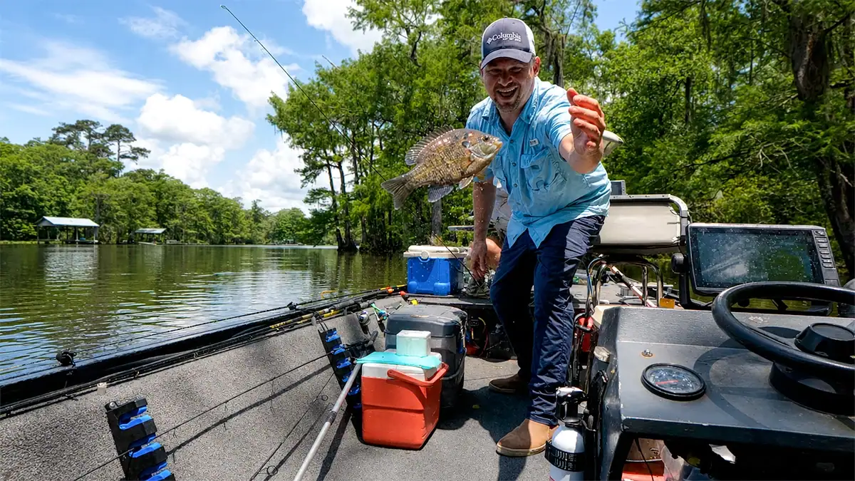 On days like this, the lid never closes. Just one fish after another.