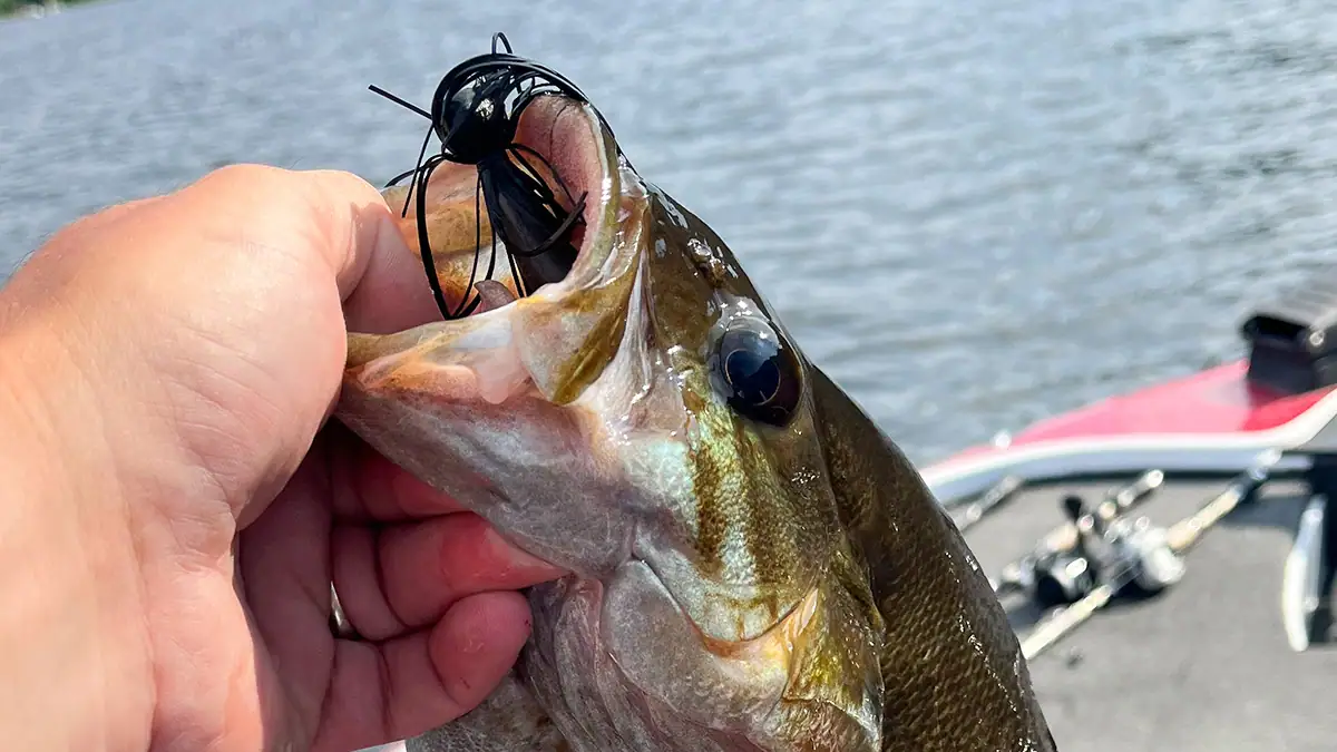 A bass with a skirted jig in its mouth is held over a boat.